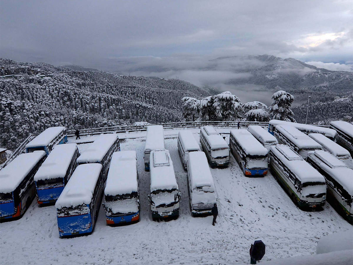 Finding the Perfect Companions for Your Adventure in Manali, Kullu, Shimla, Dehradun, and Mussoorie